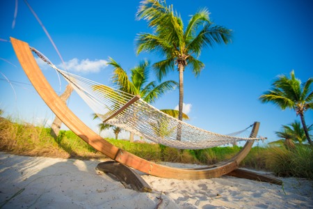 Straw hammock in shadow of palm on tropical beach by seaの写真素材