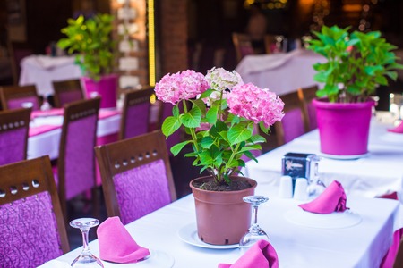 Summer empty open air restaraunt at tourist city of Istanbulの写真素材