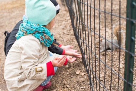 Little girls feeds a squirrel in Central park, New York, Americaの写真素材