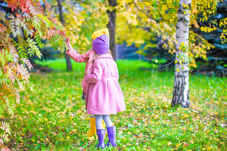Two adorable girls in forest at warm sunny autumn dayの写真素材