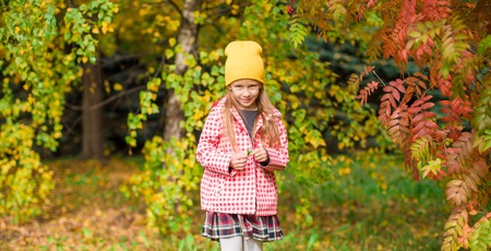Adorable little girl outdoor at beautiful autumn dayの写真素材