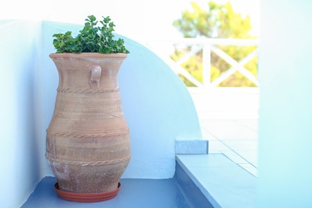 Large ceramic with plant greek island scene on Santoriniの写真素材