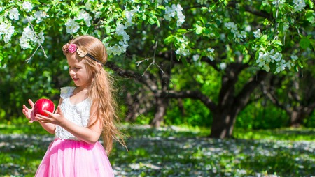 Happy little adorable girl in blossoming apple tree gardenの写真素材