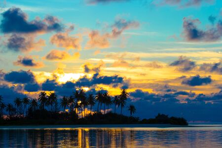 Dark silhouettes of palm trees and amazing cloudy sky at sunsetの写真素材