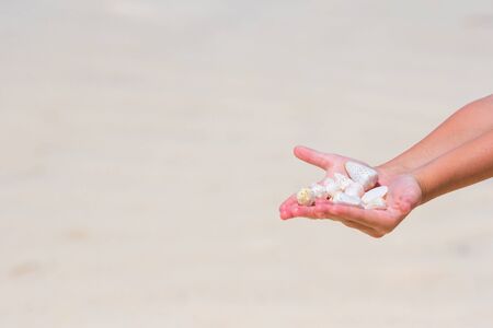 Closeup of little girl hand holding beautiful sea shells