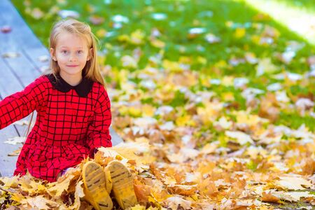 Adorable little girl at beautiful autumn day outdoorsの写真素材