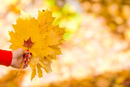 Happy young woman enjoy her autumn vacation in park