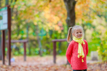 Adorable little girl at beautiful autumn day outdoorsの写真素材
