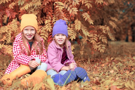Little adorable sisters at warm sunny autumn day outdoorsの写真素材
