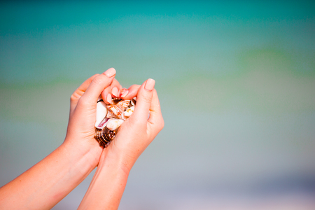 Close up of woman holding seashells in her handsの写真素材