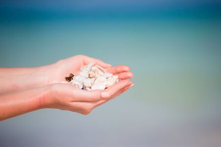 Close up of woman holding seashells in her handsの写真素材