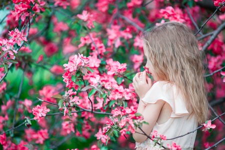 Adorable little girl in blooming apple garden on beautiful spring dayの写真素材