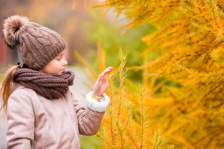 Adorable little girl at beautiful autumn day outdoorsの写真素材
