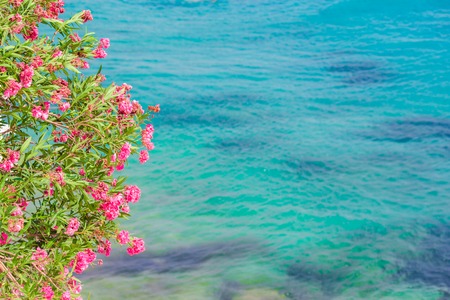Typical greek traditional view on Mykonos Island, in Greeceの写真素材
