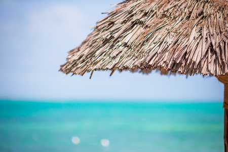 Closeup straw beach umbrella on tropicsの写真素材