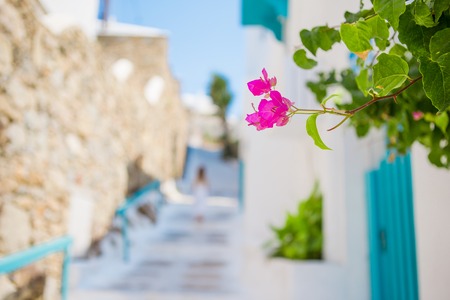 The narrow streets of greek island with flowers. Beautiful architecture building exterior with cycladic style.の写真素材