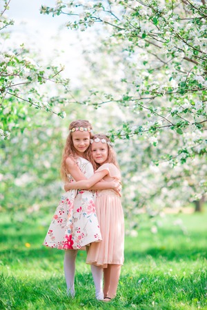 Adorable little girls in blooming cherry tree garden on spring dayの写真素材