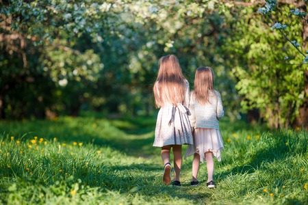 Back view of adorable girls walking in blooming apple garden on sunny spring dayの写真素材