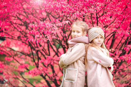 Little charming girl outdoors on a warm autumn day. Kids on background of the incredible color of the tree in fallの写真素材
