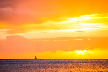 Amazing beautiful sunset on an exotic caribbean beachの写真素材