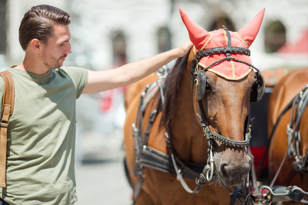 Tourist man enjoying a stroll through Vienna and looking at the beautiful horses in the carriageの写真素材