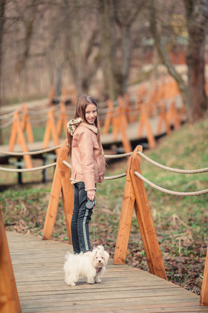 Little girl with a white puppy. A puppy in the hands of a girlの写真素材