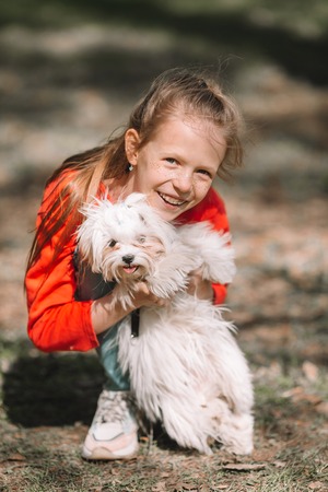 Little girl with a white puppy. A puppy in the hands of a girlの写真素材