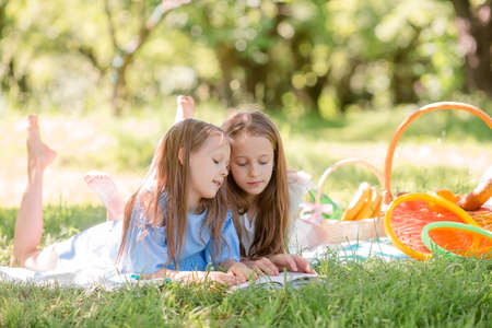 Two little kids on picnic and playing on green grass in spring parkの写真素材