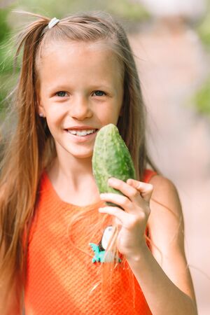 Adorable little girl harvesting cucumbers and tomatoes in greenhouse.の写真素材