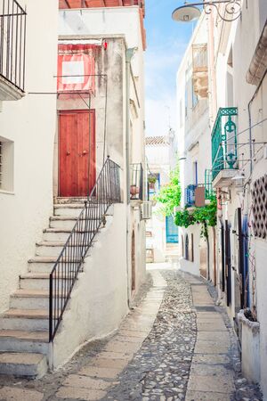 The narrow streets with stairs, white houses and flowers in beautiful village in Italy. Beautiful architecture building exterior in Peschici historic centreの写真素材