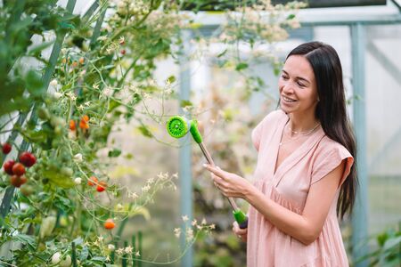Young woman watering her crops in the greenhouseの写真素材