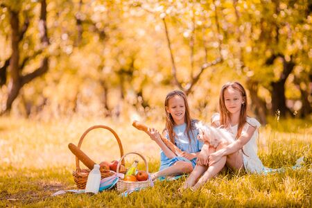 Two little kids on picnic in the parkの写真素材