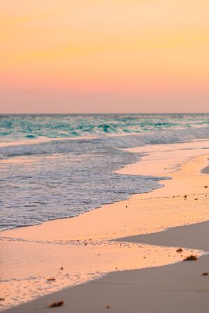 Amazing beautiful sunset on an exotic caribbean beachの写真素材