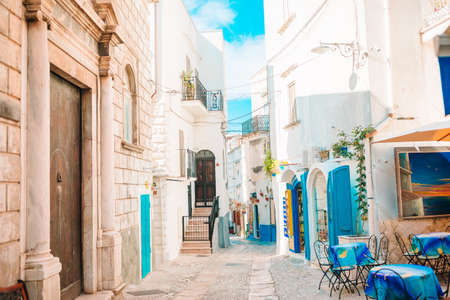 The narrow streets of the island with blue balconies, stairs and flowers.のeditorial素材