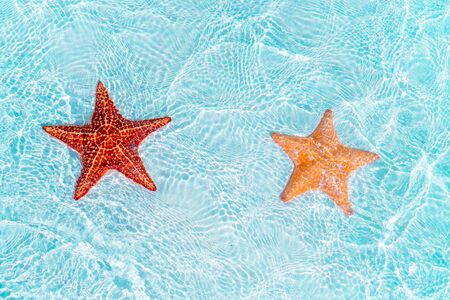 Tropical white sand with red starfish in clear water