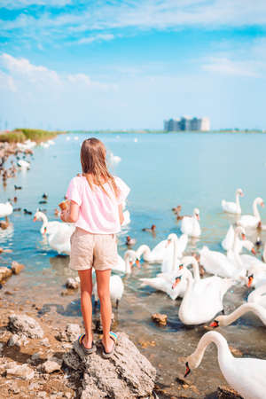 Little girl sitting on the beach with swansの写真素材