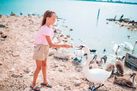 Little girl sitting on the beach with swansの写真素材