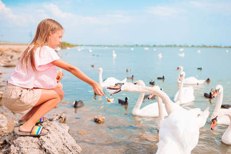 Little girl sitting on the beach with swansの写真素材