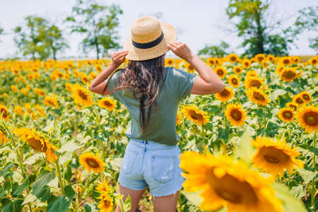 Woman in the vineyard in sun dayの写真素材