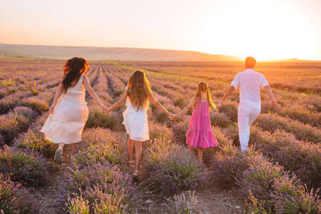 Family of four in lavender flowers fieldの写真素材