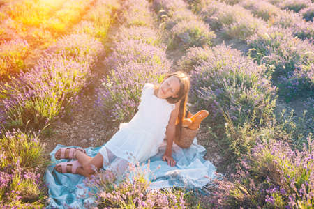 Beautiful girl in lavender flowers field at sunset in white dressの写真素材