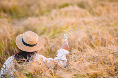 Back view of girl in wheat field. Beautiful woman in dress in a straw hat with ripe wheat in hands