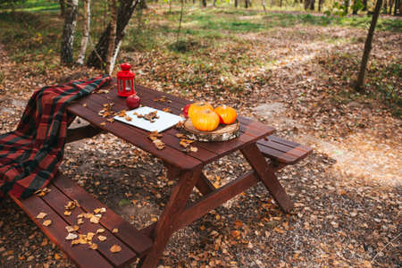 Orange pumpkin and leaves near laptop computer on a table. Autumn season timeの写真素材