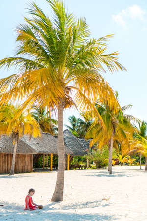 Little adorable girl with big coconut on the beachの写真素材