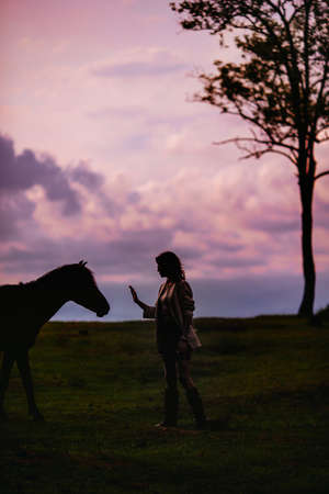 Young woman with wild horse outdoorsの写真素材