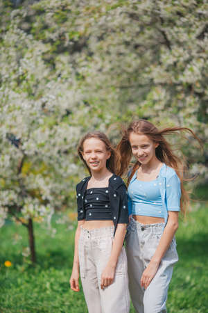 Adorable little girls in blooming apple tree garden on spring dayの写真素材