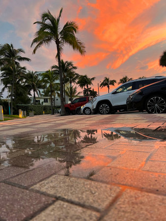 Beautiful coconut palm tree with amazing vivid sky at sunset