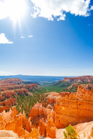 Bryce Canyon National Park landscape in Utah, United States. Brice Canyon in Navaho Loop Trailの写真素材