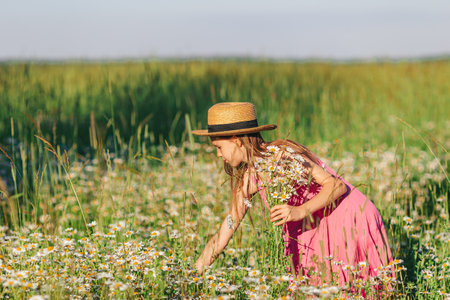 Portrait of girl in dress and straw hat on a chamomile field in summerの写真素材
