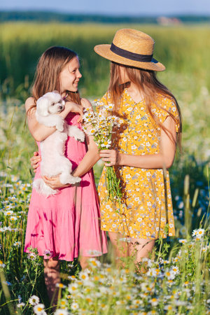 Portrait of girls in a yellow dress and straw hat on a chamomile field in summerの写真素材